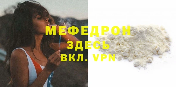 сатива Ельня