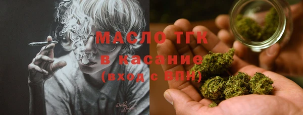 сатива Ельня