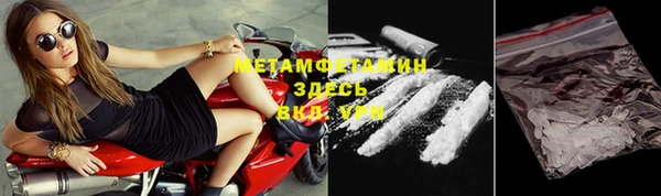 сатива Ельня