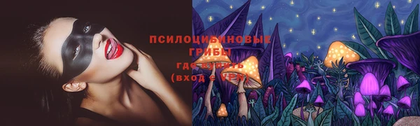 ECSTASY Елабуга