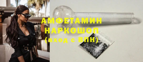 сатива Ельня