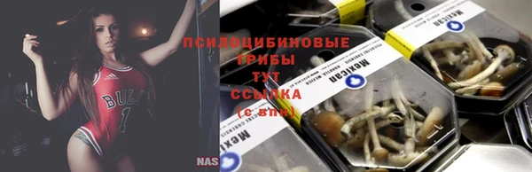ECSTASY Елабуга
