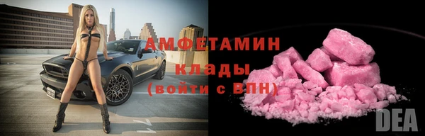 сатива Ельня
