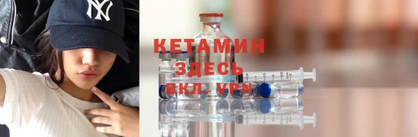 сатива Ельня