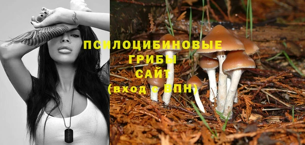 таблы Дмитриев