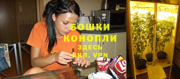 сатива Ельня