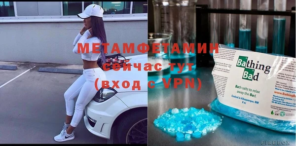 сатива Ельня