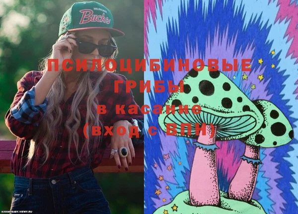 сатива Ельня