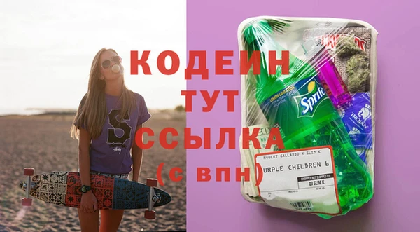 сатива Ельня