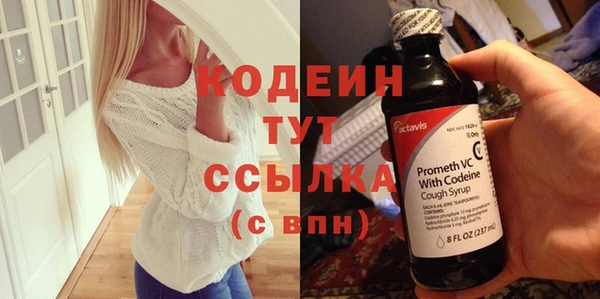 сатива Ельня