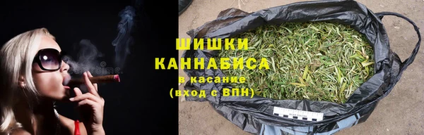 сатива Ельня