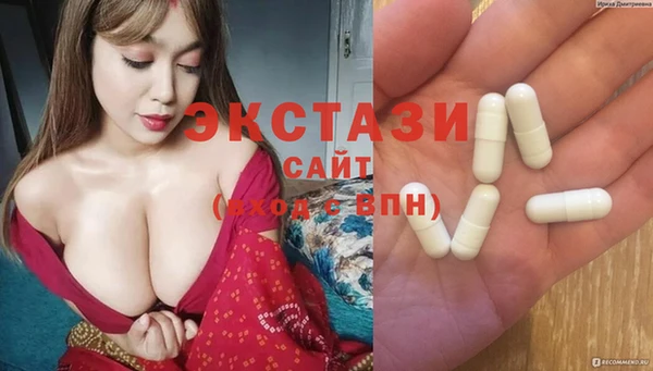 сатива Ельня