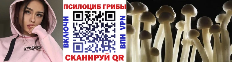 магазин Камень-на-Оби нарко площадка наркотические препараты Галлюциногенные грибы Magic Shrooms